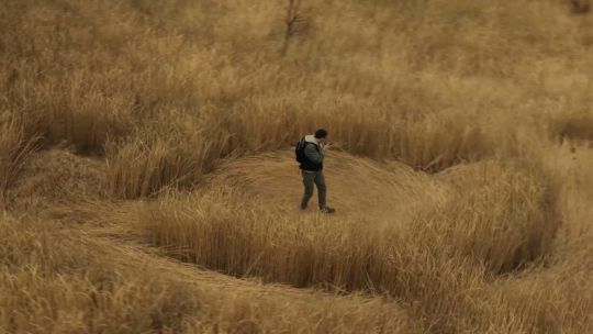 Extraterrestres: revelación prometida y misterio creciente