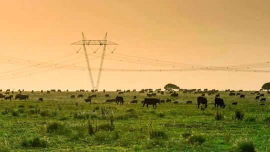 Preservar la riqueza de nuestros suelos: la nueva frontera del agro argentino