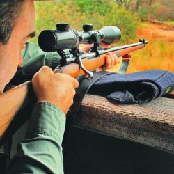 Se abre la temporada de caza mayor y menor en el país.