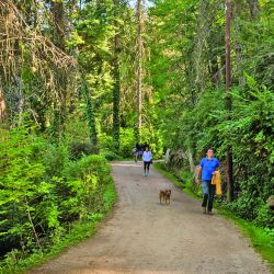 Días de relax en La Cumbrecita, combinados con la aventura de saltos en tirolesa.