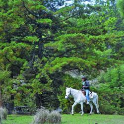 Días de relax en La Cumbrecita, combinados con la aventura de saltos en tirolesa.