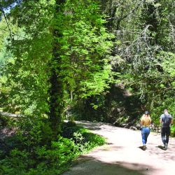 Días de relax en La Cumbrecita, combinados con la aventura de saltos en tirolesa.