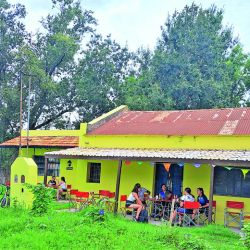 Poblados bonaerenses se alinean en un circuito que, además, incluye dos lagunas y el río Samborombón. Casi 100 km de buenas experiencias sobre las rutas 29, 20 y 2.