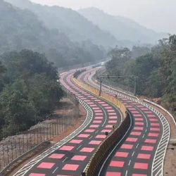 Busca salvar la vida silvestre en sus rutas principales.