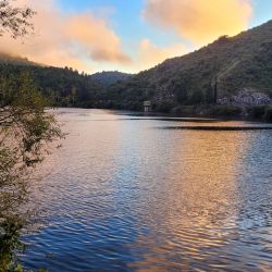 La jornada cerró con saldo altamente positivo: muchos piques, constancia y diversión asegurada, ingredientes clave para cualquier salida de pesca. 