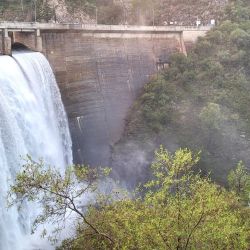 La jornada cerró con saldo altamente positivo: muchos piques, constancia y diversión asegurada, ingredientes clave para cualquier salida de pesca. 