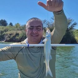 La jornada cerró con saldo altamente positivo: muchos piques, constancia y diversión asegurada, ingredientes clave para cualquier salida de pesca. 