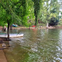 La jornada cerró con saldo altamente positivo: muchos piques, constancia y diversión asegurada, ingredientes clave para cualquier salida de pesca. 