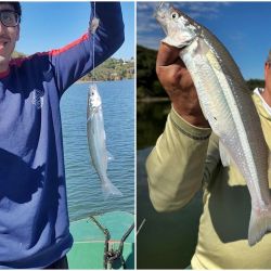 La jornada cerró con saldo altamente positivo: muchos piques, constancia y diversión asegurada, ingredientes clave para cualquier salida de pesca. 