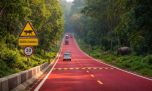 India inauguró la primera carretera roja para proteger la fauna