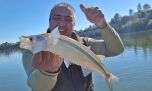 Pesca sin pausas en Córdoba: Los Molinos a puro pejerrey