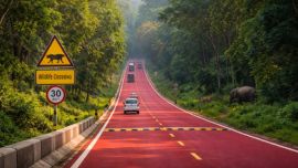 La primera carretera roja en defensa de la fauna ya es realidad.