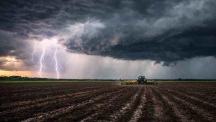 Alerta en el campo por las lluvias de otoño que retrasan las cosechas.   