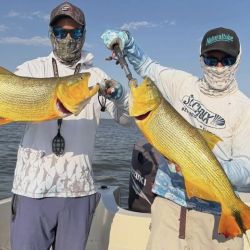 A solo 160 kilómetros de Capital Federal, Villa Paranacito ofrece jornadas inolvidables para quienes buscan acción, técnica y contacto pleno con la naturaleza.