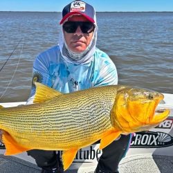 A solo 160 kilómetros de Capital Federal, Villa Paranacito ofrece jornadas inolvidables para quienes buscan acción, técnica y contacto pleno con la naturaleza.