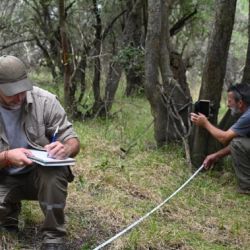 La Reserva Natural Municipal Las Piedras inició el monitoreo de fauna silvestre mediante la instalación de cámaras trampa,