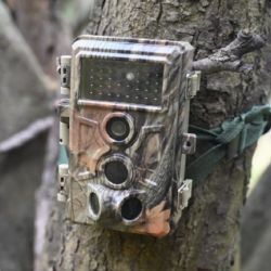 Las cámaras trampa son dispositivos automáticos que se activan por sensores de movimiento y cambios de temperatura. 
