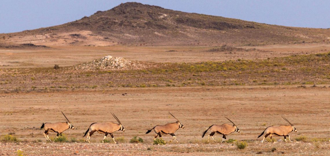 El nuevo lujo es salvar el planeta: el proyecto que transforma un paisaje en Namibia