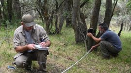 La Reserva Natural Municipal Las Piedras inició el monitoreo de fauna silvestre mediante la instalación de cámaras trampa,