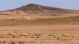 El nuevo lujo es salvar el planeta: el proyecto que transforma un paisaje en Namibia