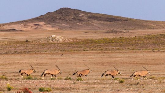 El nuevo lujo es salvar el planeta: el proyecto que transforma un paisaje en Namibia