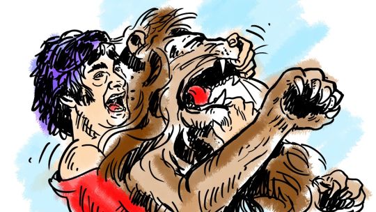 El síndrome de Sansón: Milei y los riesgos de un poder sin oponentes