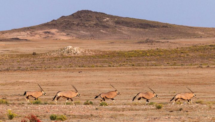 El nuevo lujo es salvar el planeta: el proyecto que transforma un paisaje en Namibia