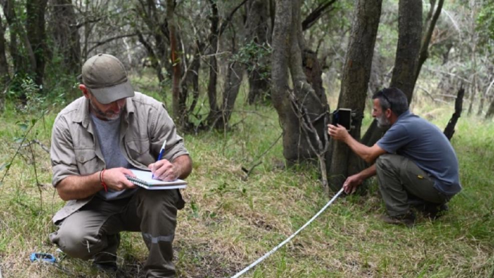 3103_reserva las piedras