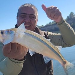 0104_mapa_pique_pesca