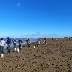 Ubicado frente a la Bahía de Samborombón, este pesquero natural ofrece condiciones ideales para la pesca variada de río y ría, con roncadoras y pejerreyes como especies predominantes, aunque siempre con chances de obtener piezas calificadas.