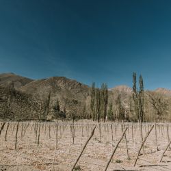 Bodega El Bayeh en Delirio
