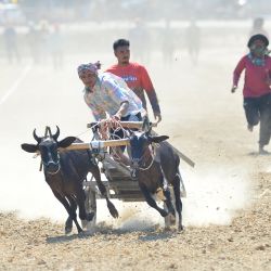 Un concursante compite durante una carrera de carros tirados por bueyes, en la provincia de Phetchaburi, Tailandia. La carrera de carros tirados por bueyes es un evento anual llevado a cabo en Phetchaburi para celebrar el final de la temporada de cosecha. | Foto:Xinhua/Rachen Sageamsak