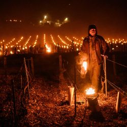 Un viticultor enciende velas antihielo en su viñedo cerca de Chablis, Borgoña, cuando las temperaturas descienden por debajo de cero grados centígrados durante la noche. El anuncio de una helada nocturna impulsó a muchos viticultores de Borgoña a tomar medidas para proteger sus viñas. | Foto:ARNAUD FINISTRE / AFP