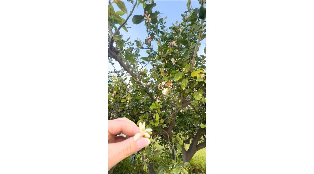 Cuando el agotamiento tiene raíz neurológica: autismo, TDAH y el camino de vuelta