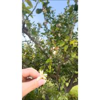 Cuando el agotamiento tiene raíz neurológica: autismo, TDAH y el camino de vuelta