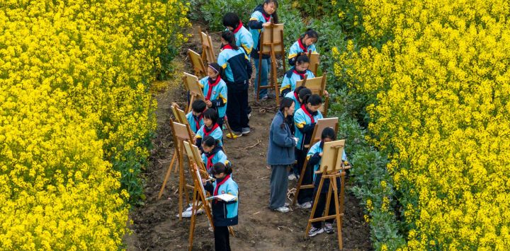 Estudiantes participan en una actividad de dibujo al aire libre en un campo de colza durante las vacaciones de primavera en el distrito de Jiangyan, Taizhou, en la provincia oriental china de Jiangsu.
