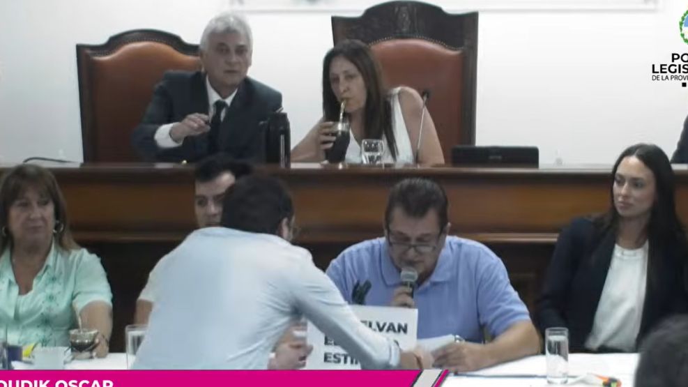 El momento de mayor tensión en la Cámara de Diputados del Chaco