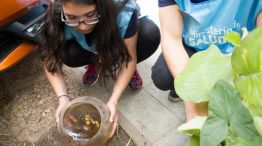 infecciones_x_mosquitos