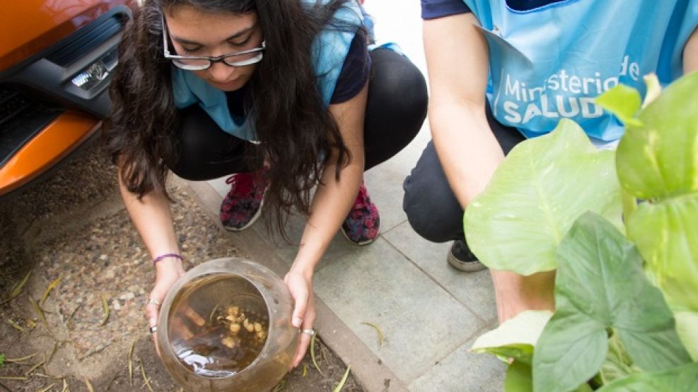 infecciones_x_mosquitos