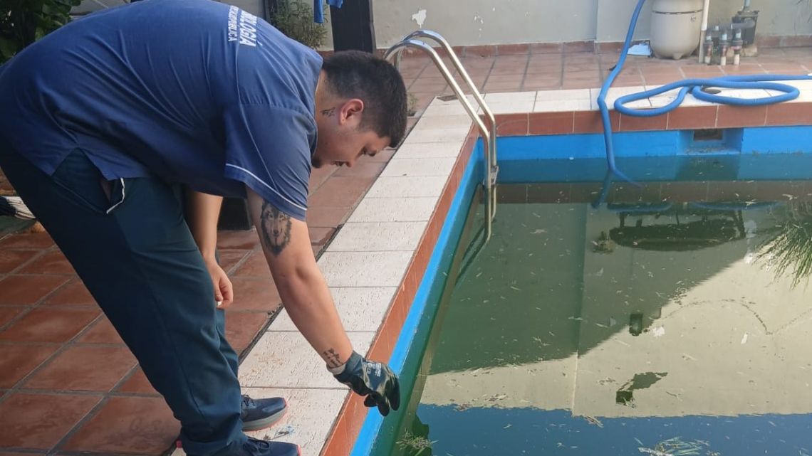 Dengue en Corrientes: Salud Pública advierte por posibles brotes en abril y mayo