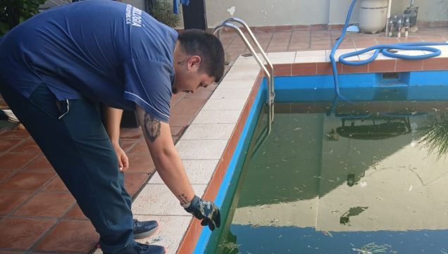 dengue en corrientes