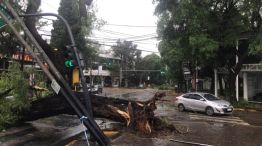 Temporal en el AMBA 04042026