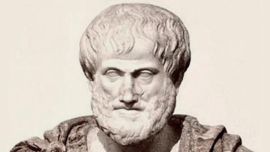 Analfabetismo libertario