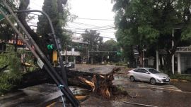 El violento temporal en el AMBA: inundaciones, agua en las casas, destrozos y miles de usuarios sin luz