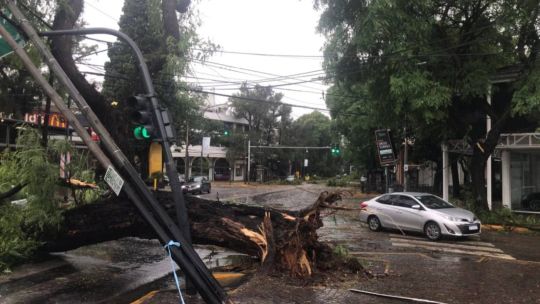 El violento temporal en el AMBA: inundaciones, agua en las casas, destrozos y miles de usuarios sin luz