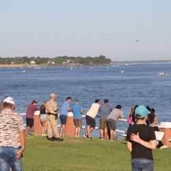 El dorado más grande que fue capturado y luego devuelto a las aguas del Paraná fue de 79 cm de longitud. El pescador que logró hacerse con ese ejemplar fue Marcelo Guembe, oriundo de Paso de la Patria.