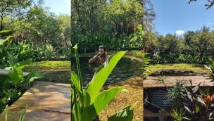 La biopiscina de Jerónimo, el hijo de Julián Weich