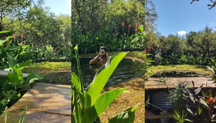 A base de plantas y microorganismos: así funciona la biopiscina de Jerónimo, el hijo de Julián Weich, en su casa sustentable