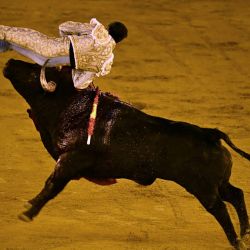 El torero español David de Miranda es embestido por un toro de Garcigrande durante la primera corrida de toros de la temporada en la plaza de toros de La Maestranza en Sevilla, España. | Foto:CRISTINA QUICLER / AFP