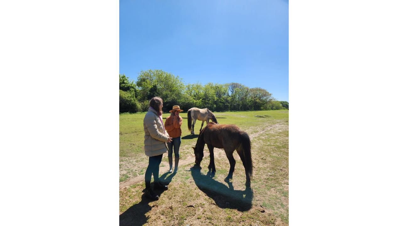 FUNDACIÓN AL REPARO TERAPIAS ECUESTRES: cómo las terapias con caballos mejoran el bienestar y la conexión humana